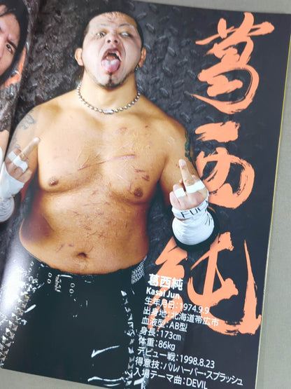 FREEDOMS オフィシャルパンフレット(2012年)