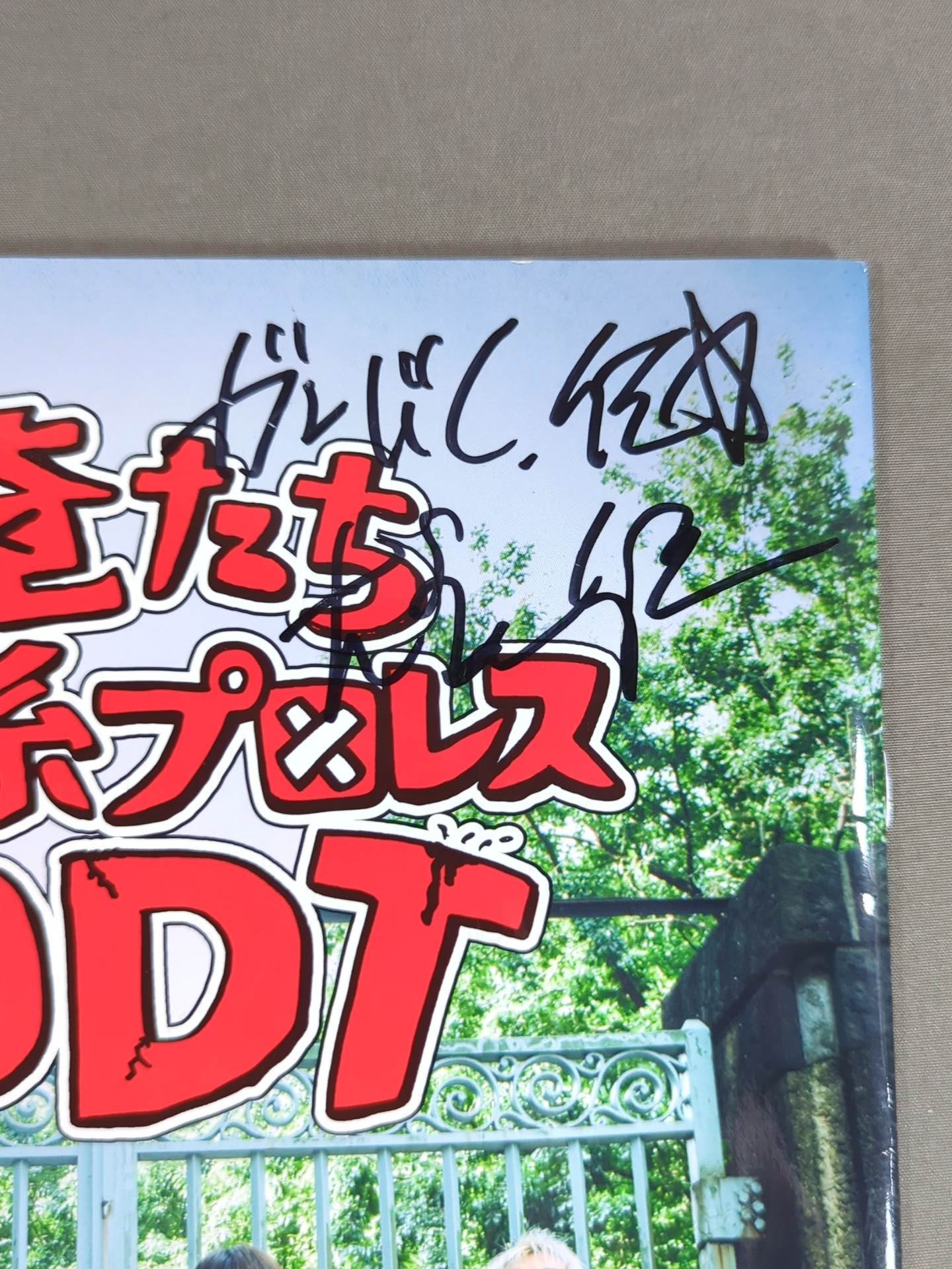 2名直筆サイン入り】映画 俺たち文化系プロレスDDT – 闘道館