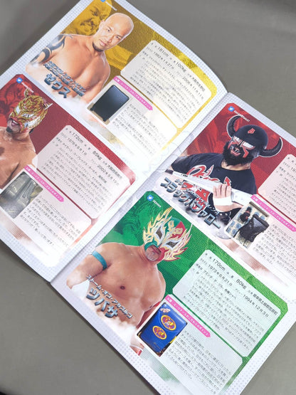 大阪プロレス 公式パンフレット vol.5