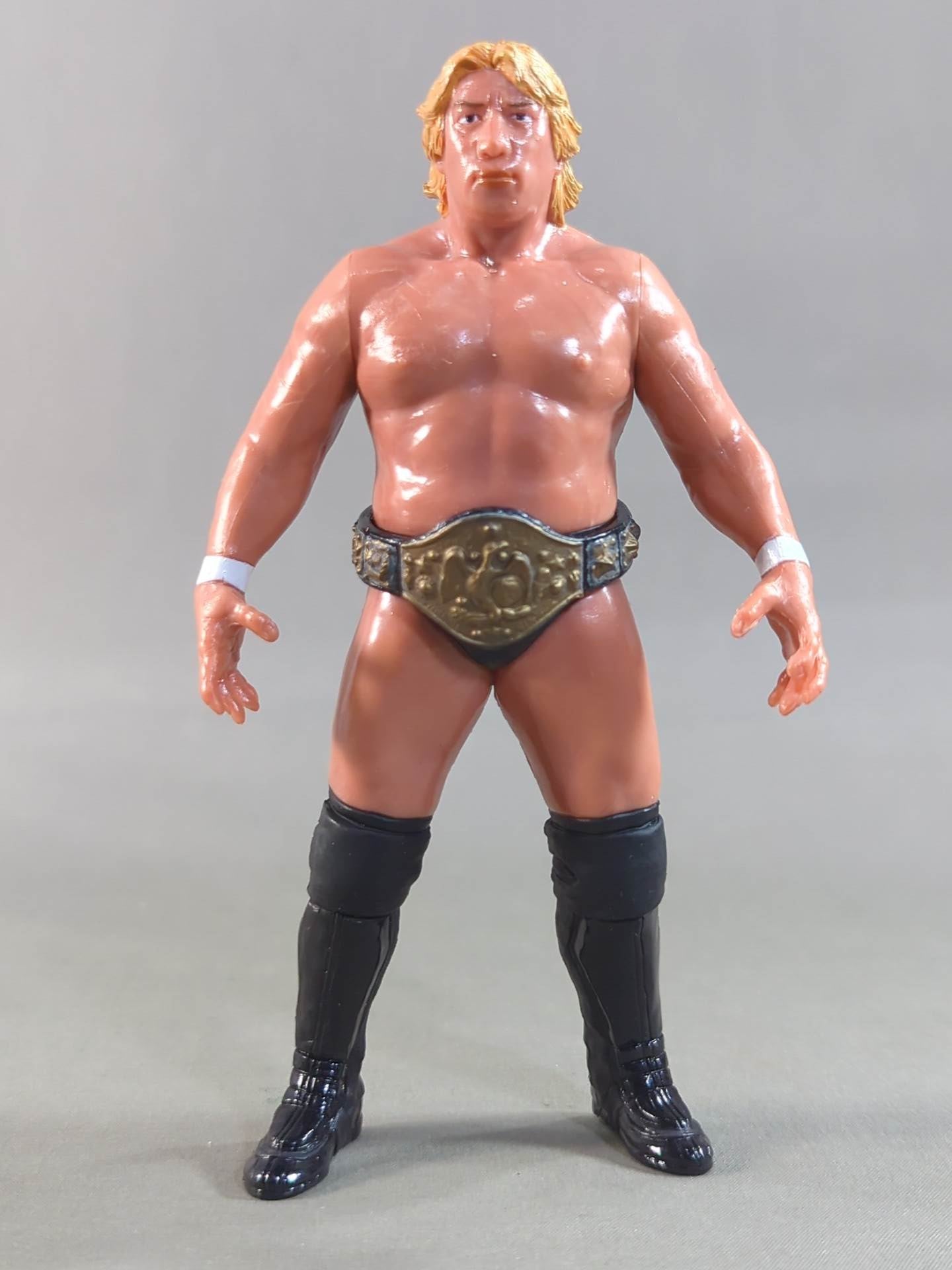 Yoshihiro Takayama  (NWF belt)