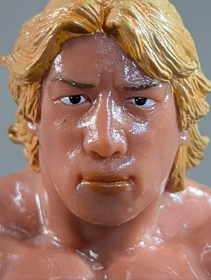 Yoshihiro Takayama  (NWF belt)