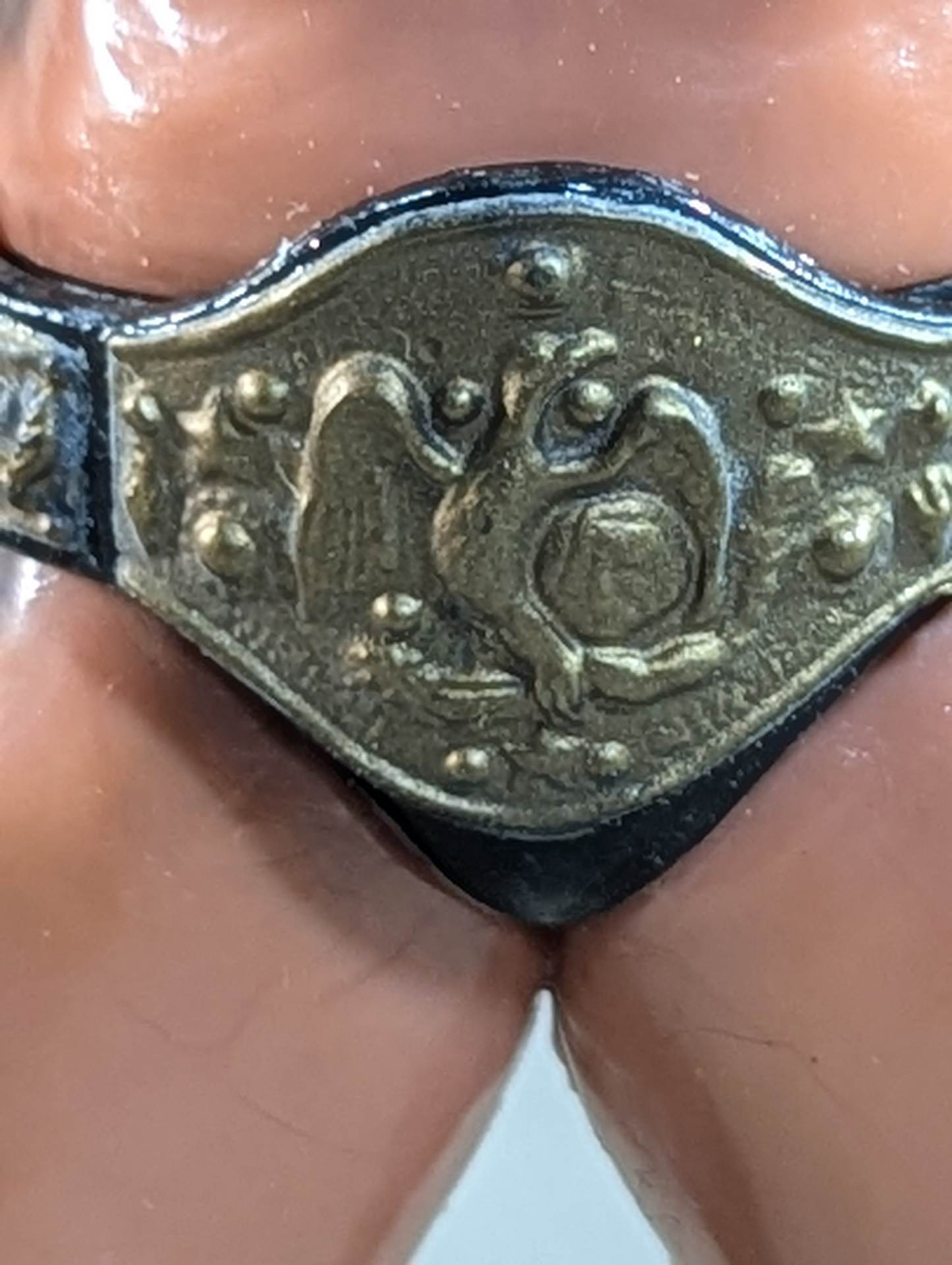 Yoshihiro Takayama  (NWF belt)