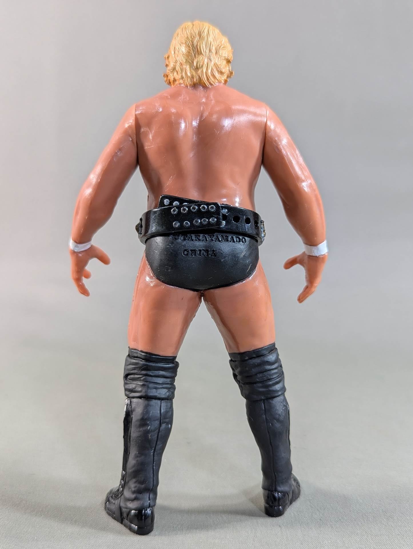 高山善廣(NWFベルト) – 闘道館