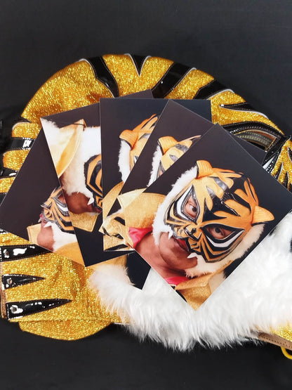 4代目タイガーマスク