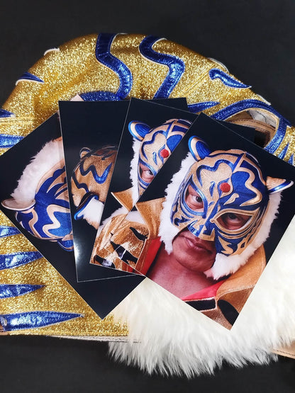 4代目タイガーマスク