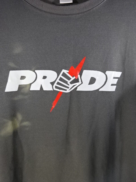PRIDE Logo Dry T-Shirt (1) (Grey)