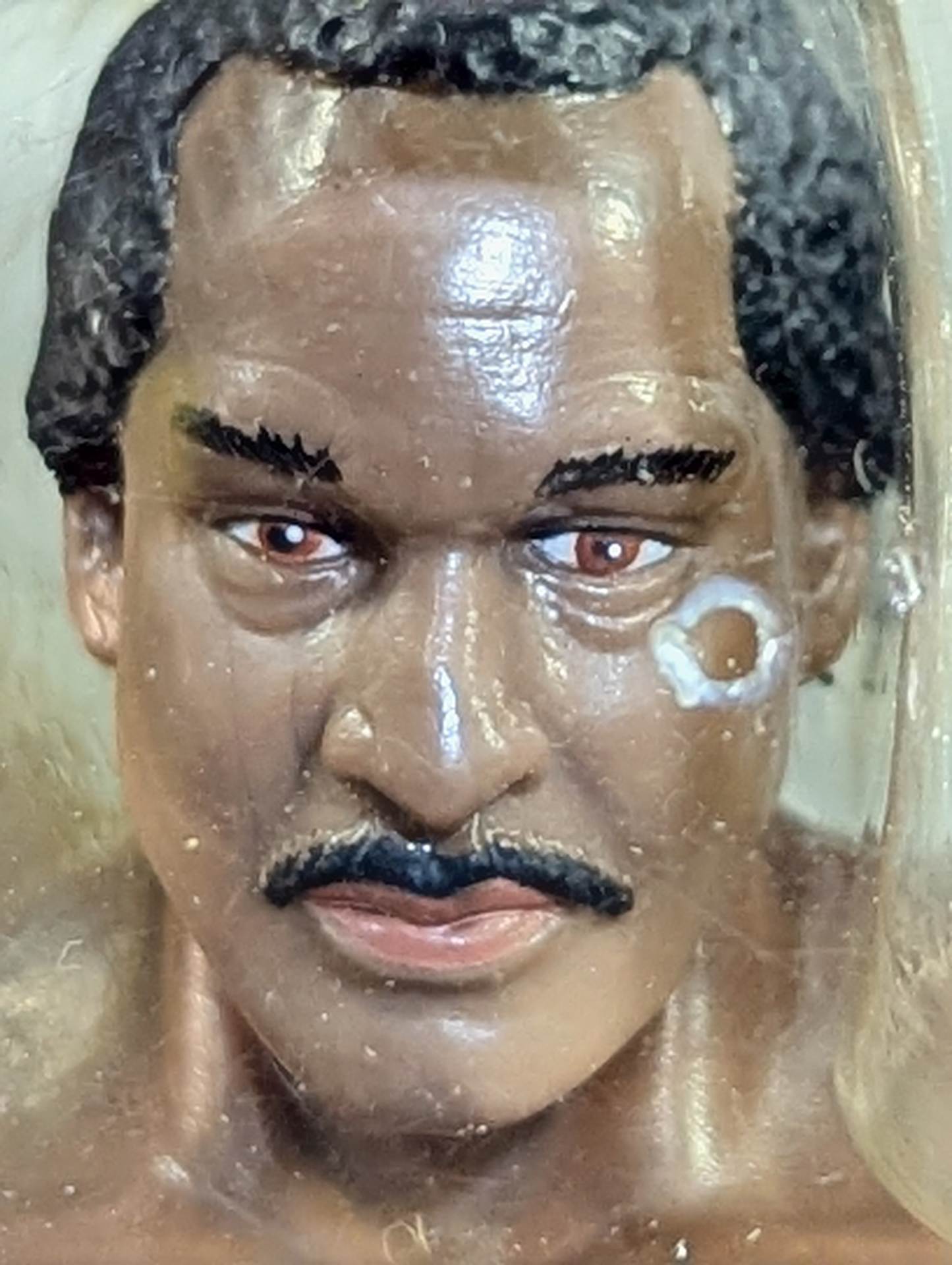 Ron Simmons (light blue tights)