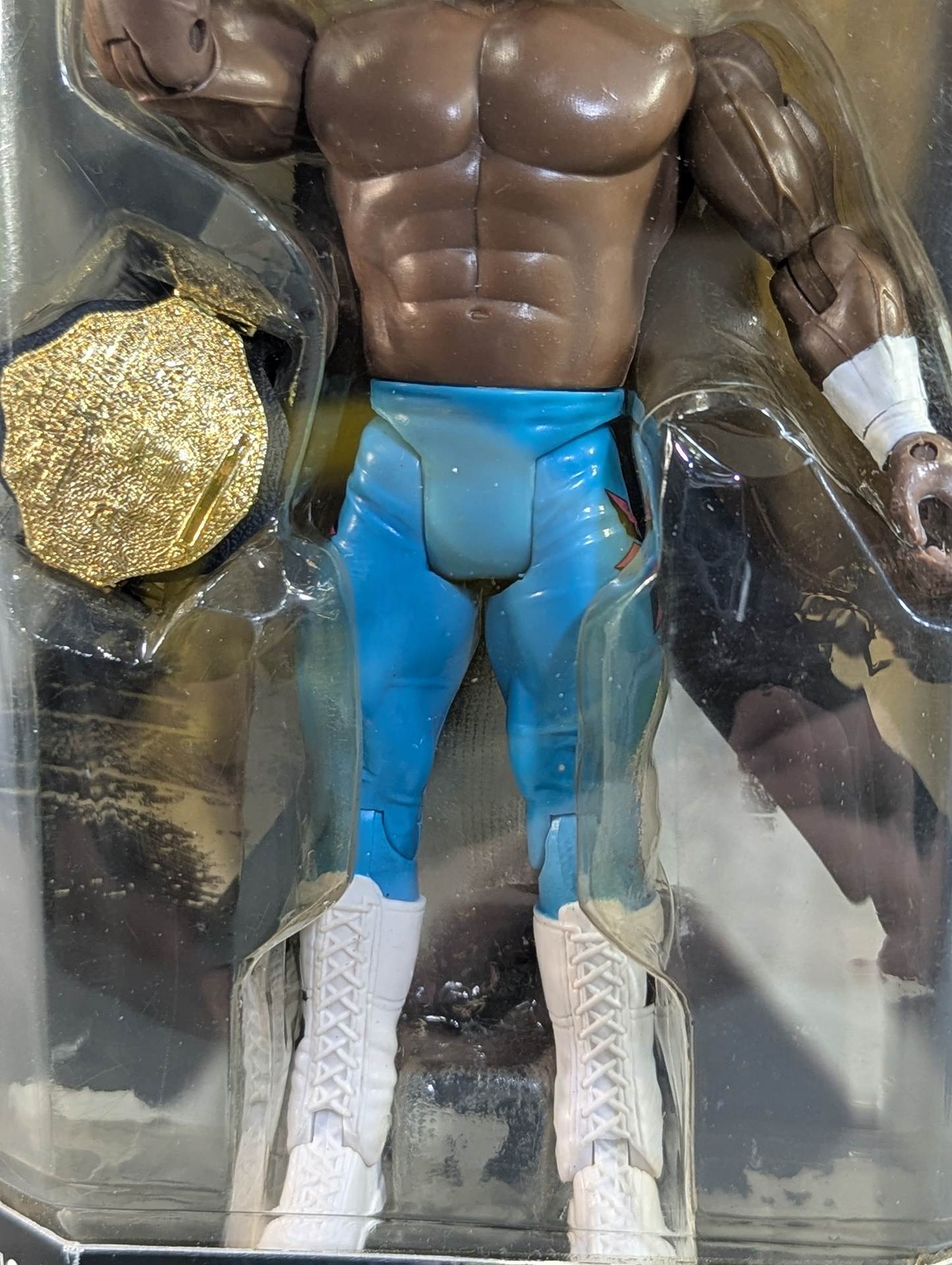 Ron Simmons (light blue tights)