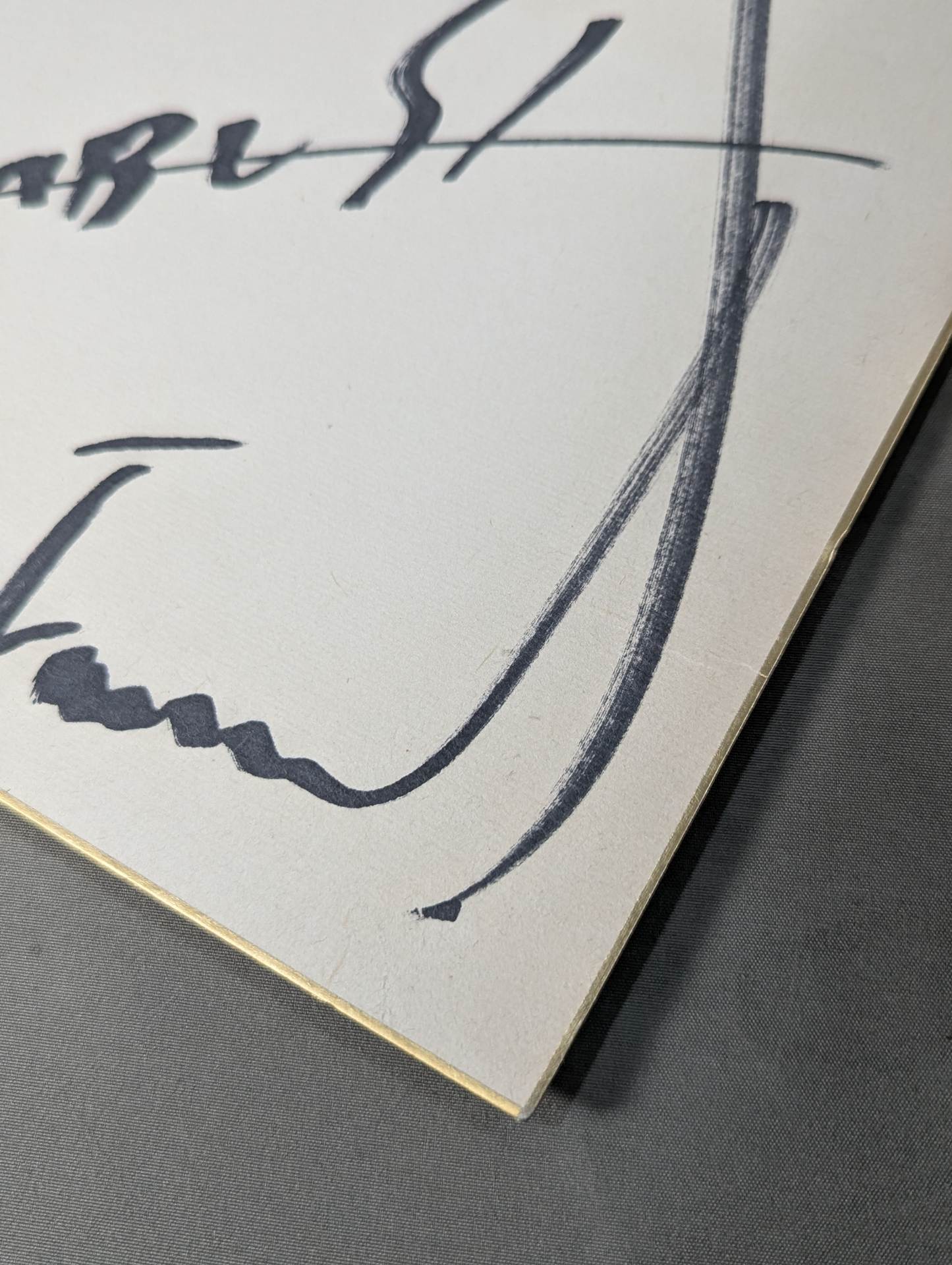 HAYABUSA  (photo attached)