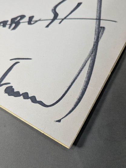 HAYABUSA  (photo attached)