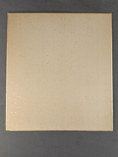 HAYABUSA  (photo attached)