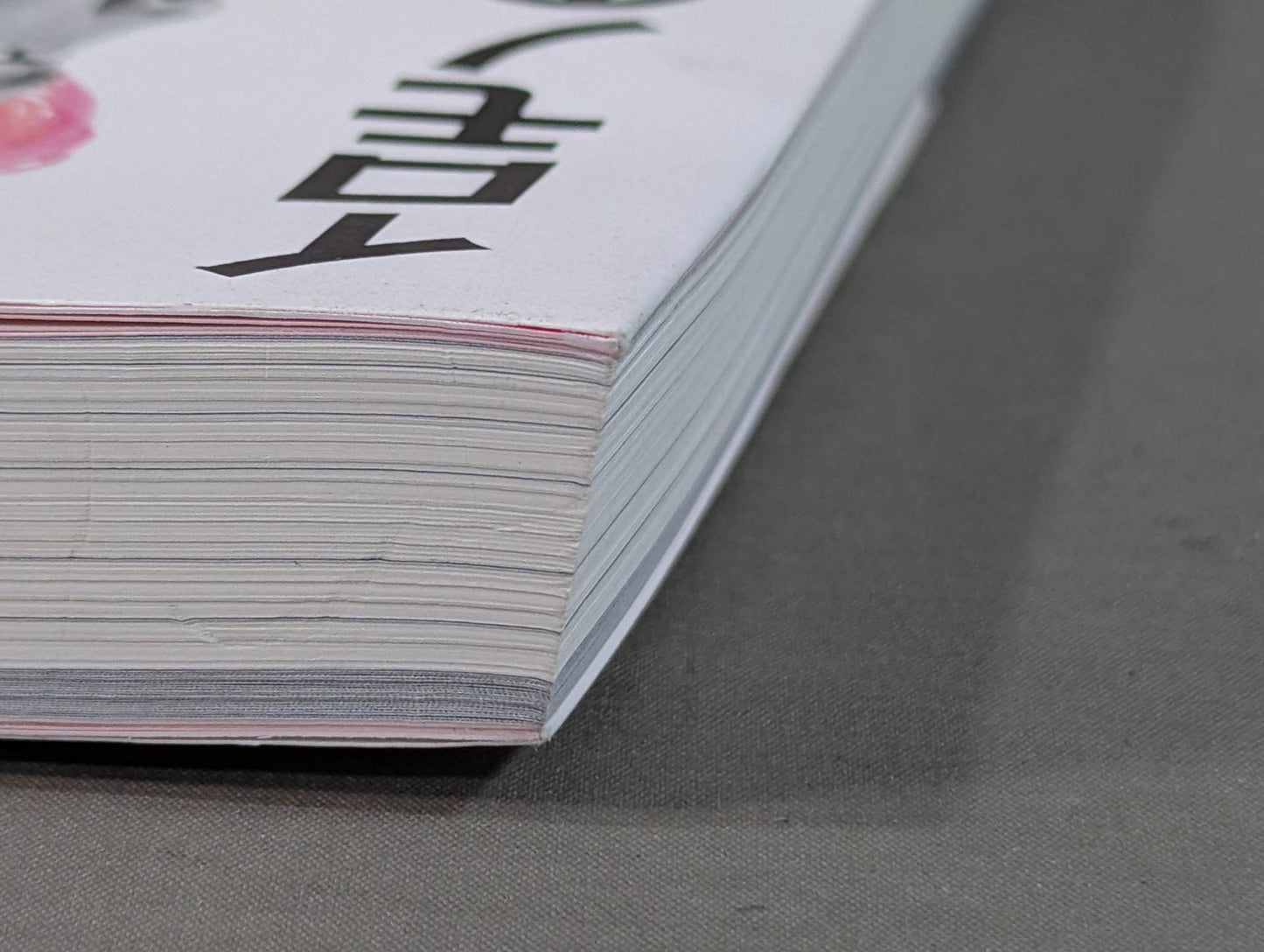 イロモノの野望 透明人間と戦ってわかった自分の商品価値の上げ方