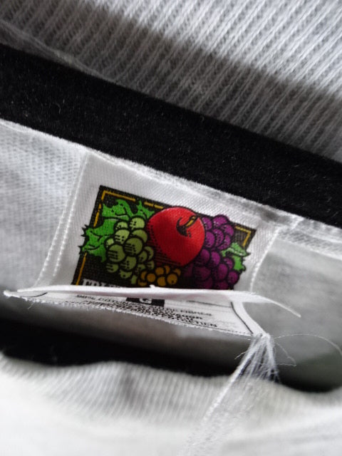 FMW ENTERTAINMENT Wrestling  SPECIAL LIVE 1999 Picture T-Shirt