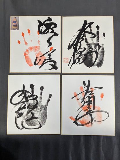 Sumo ｗｉｔｈ handprint  sign Shikishi ( Autograph board )  Sets(2)