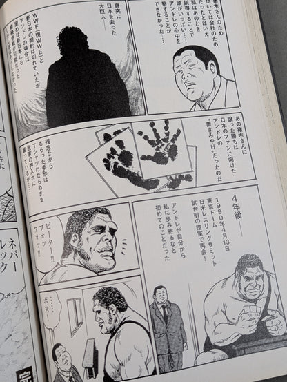 Andre the Giant  worn by him  shoes and worn by him slacks, left and right Handprint and footprint direct sign Shikishi ( Autograph board )  set