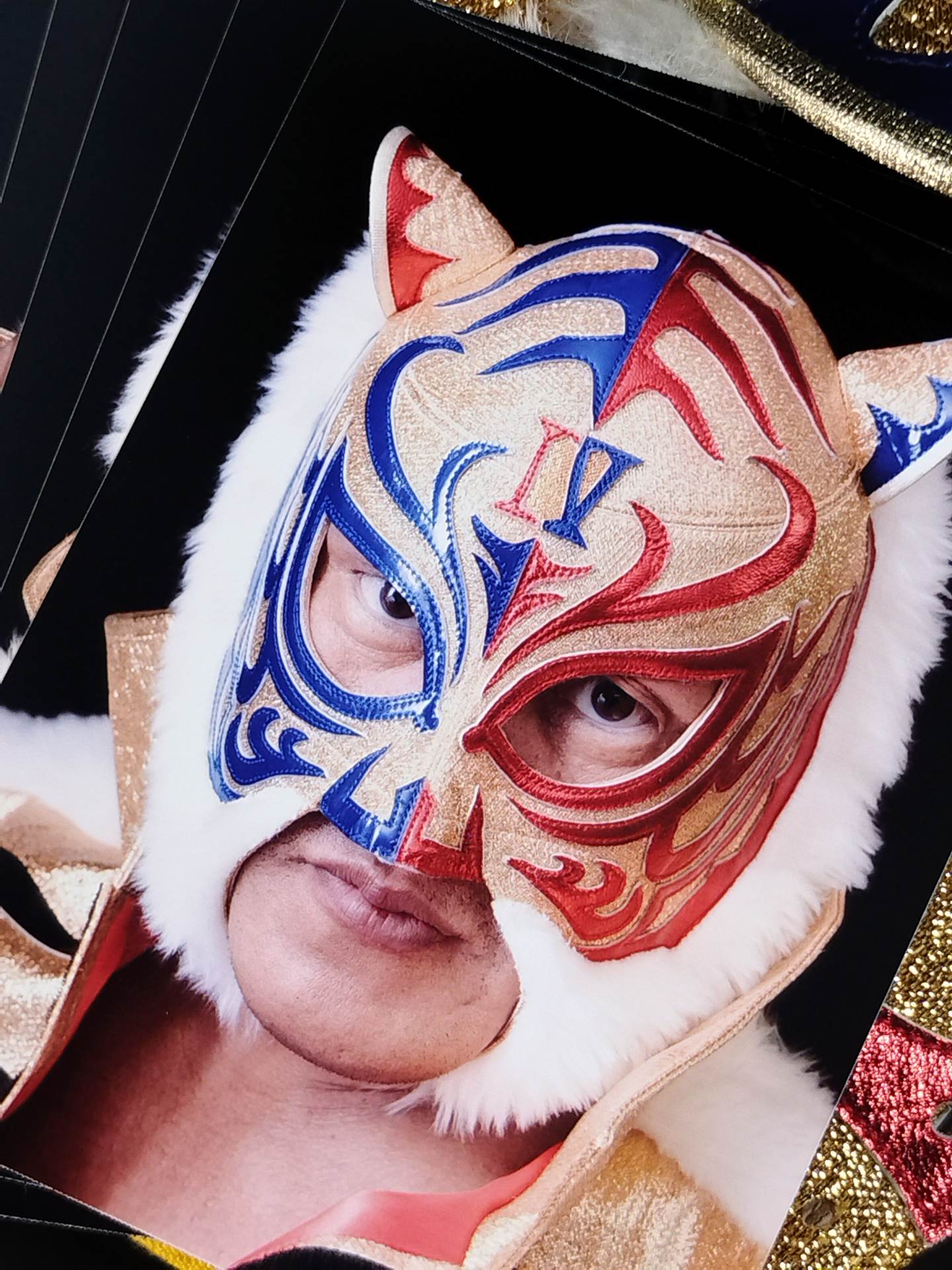 4代目タイガーマスク