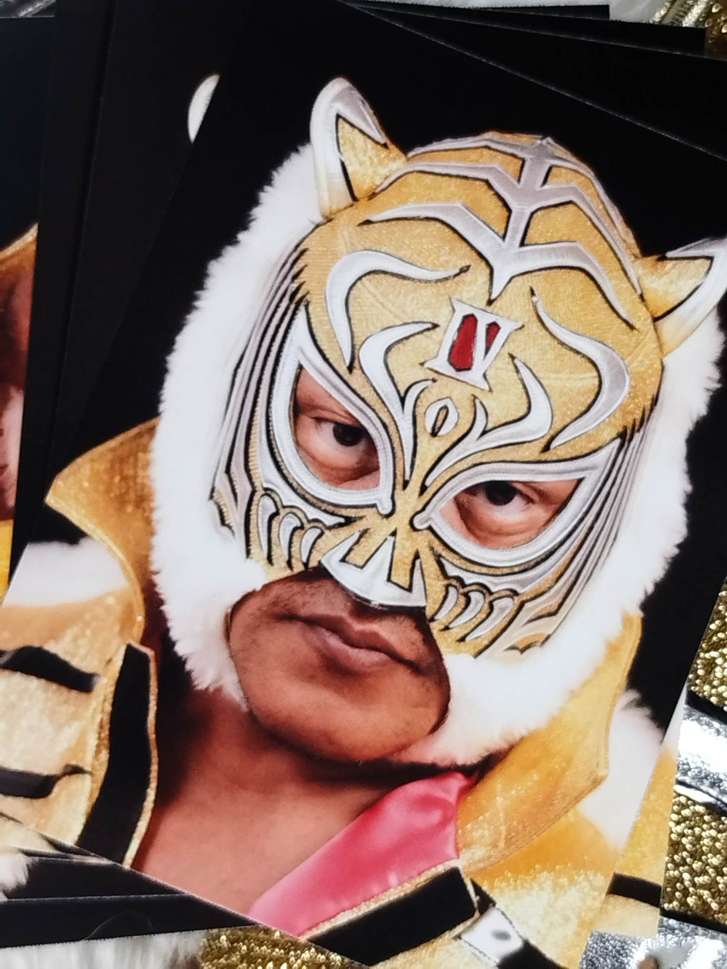 4代目タイガーマスク – 闘道館