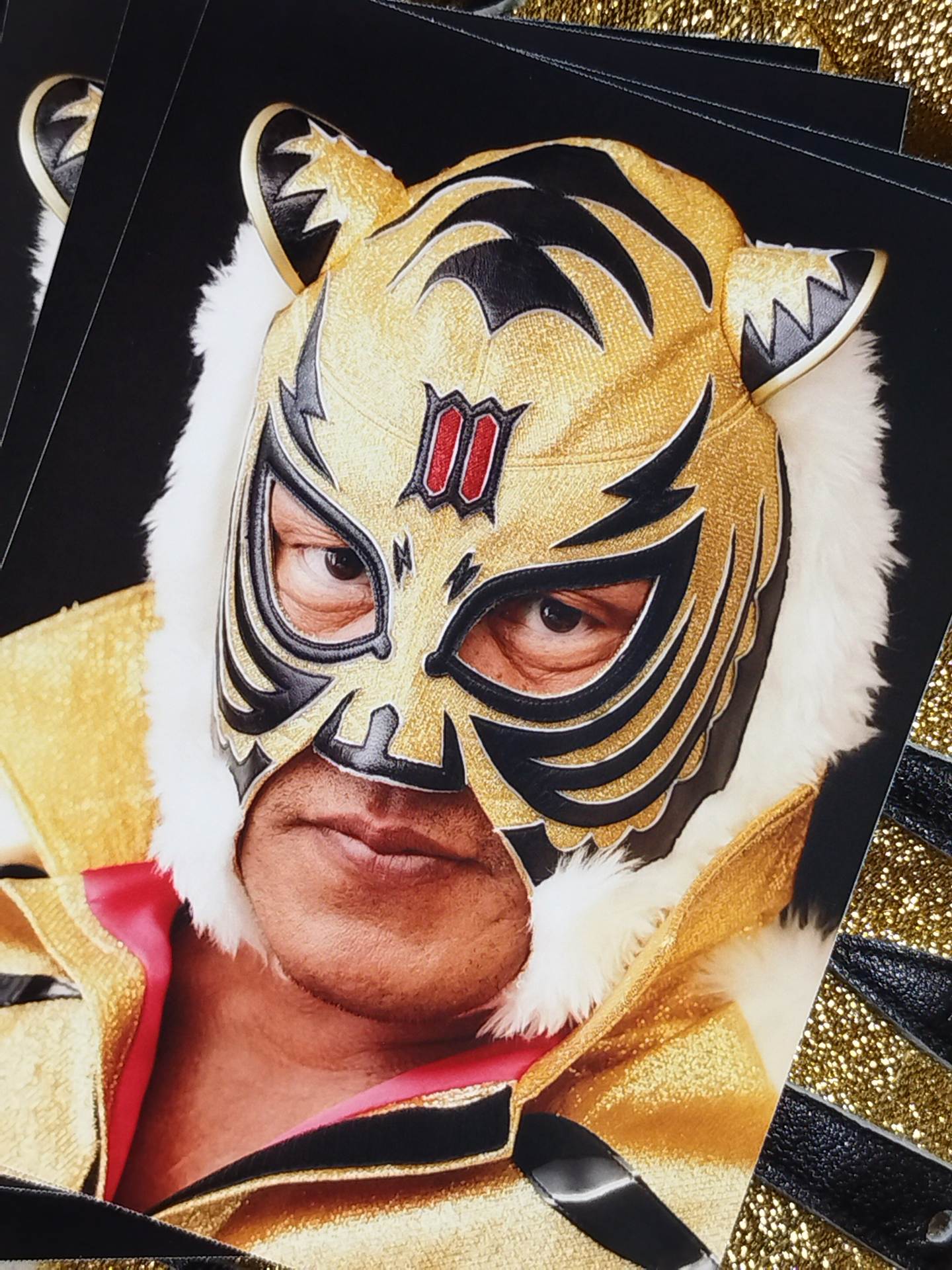 4代目タイガーマスク