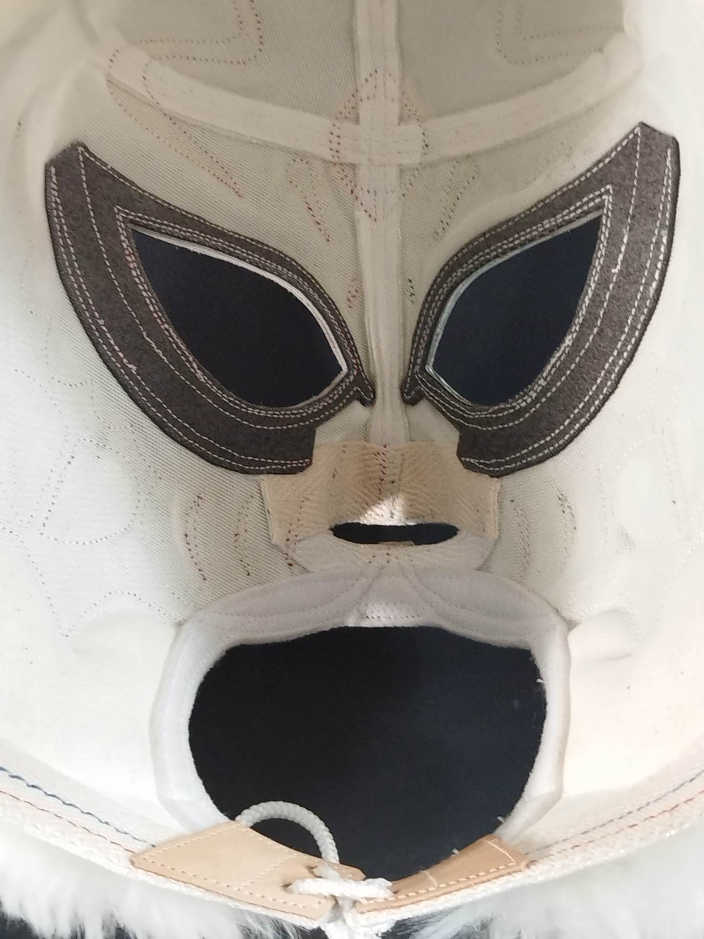 4代目タイガーマスク