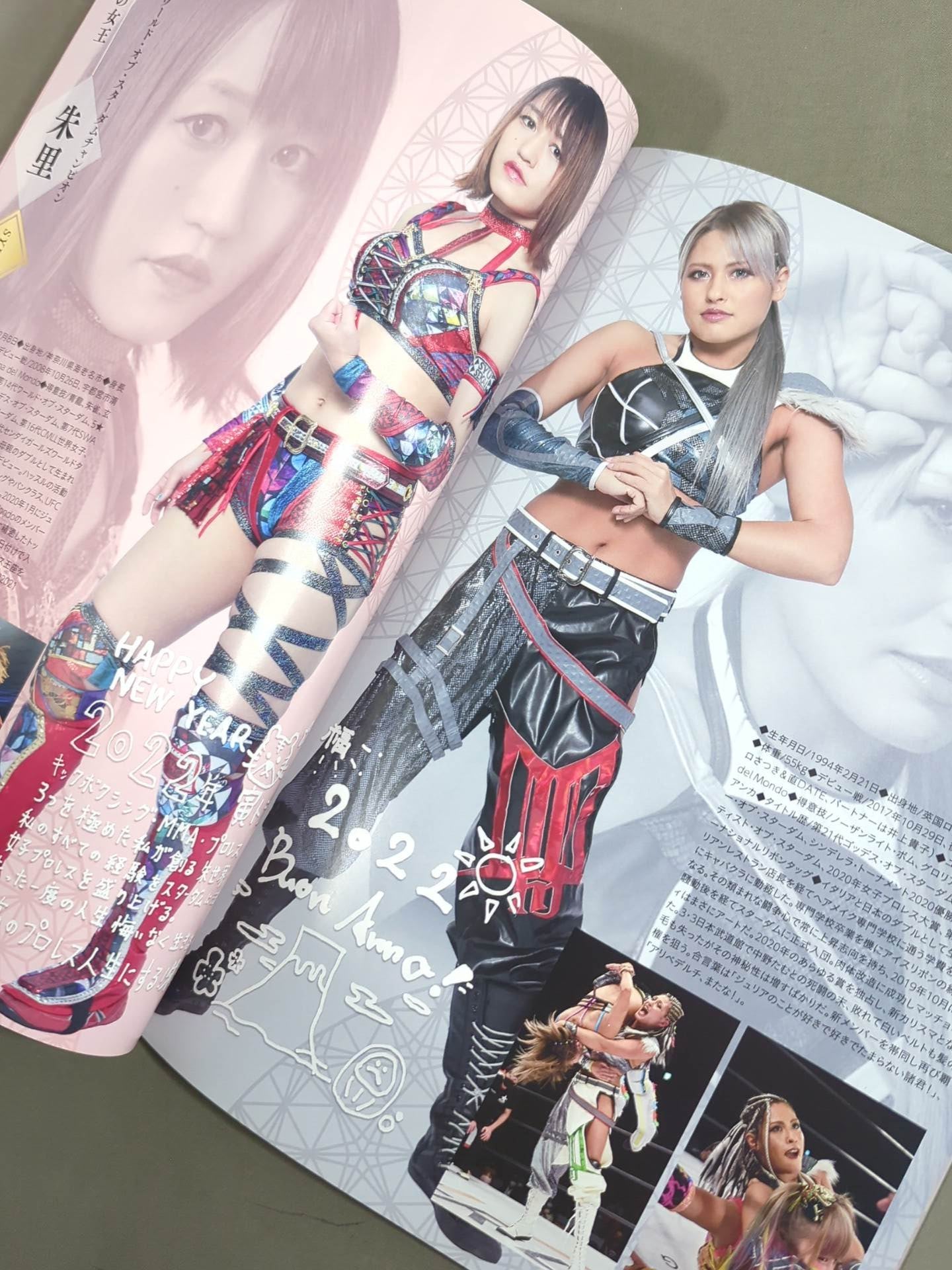 STARDOM OFFICIAL GUIDE BOOK Vol.140