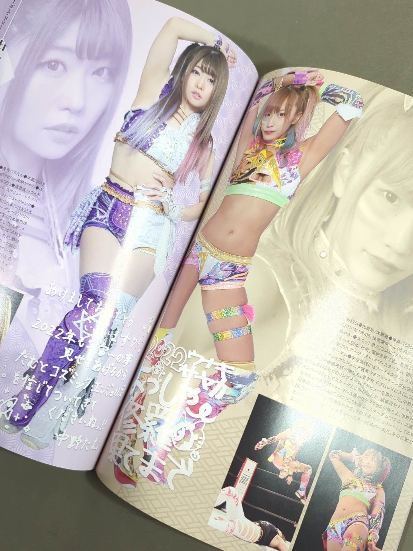 STARDOM OFFICIAL GUIDE BOOK Vol.140