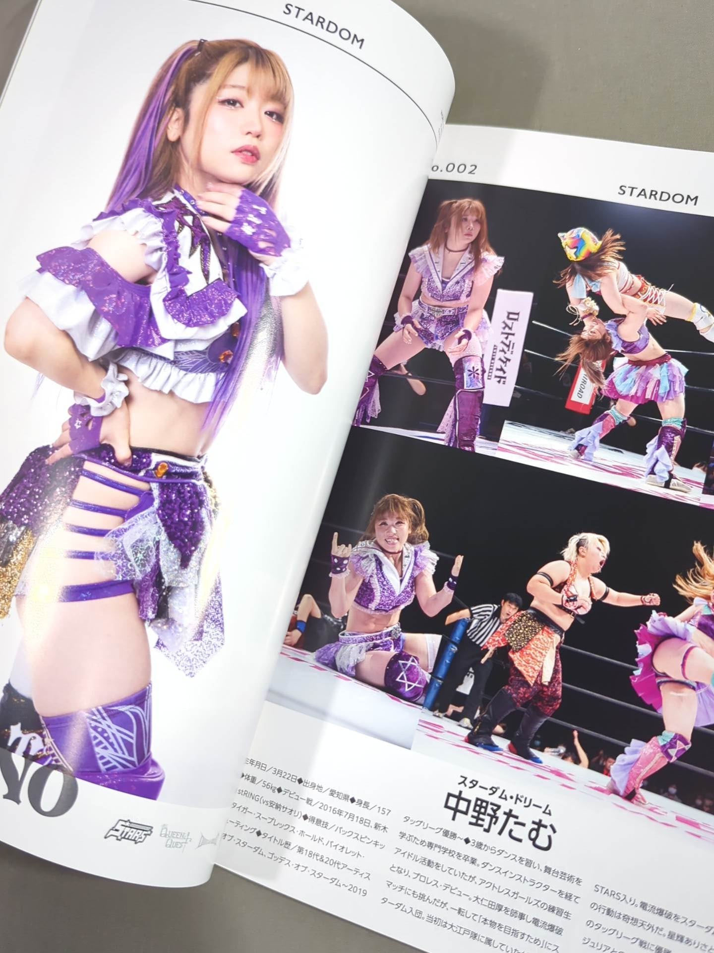 STARDOM OFFICIAL GUIDE BOOK Vol.132 – 闘道館