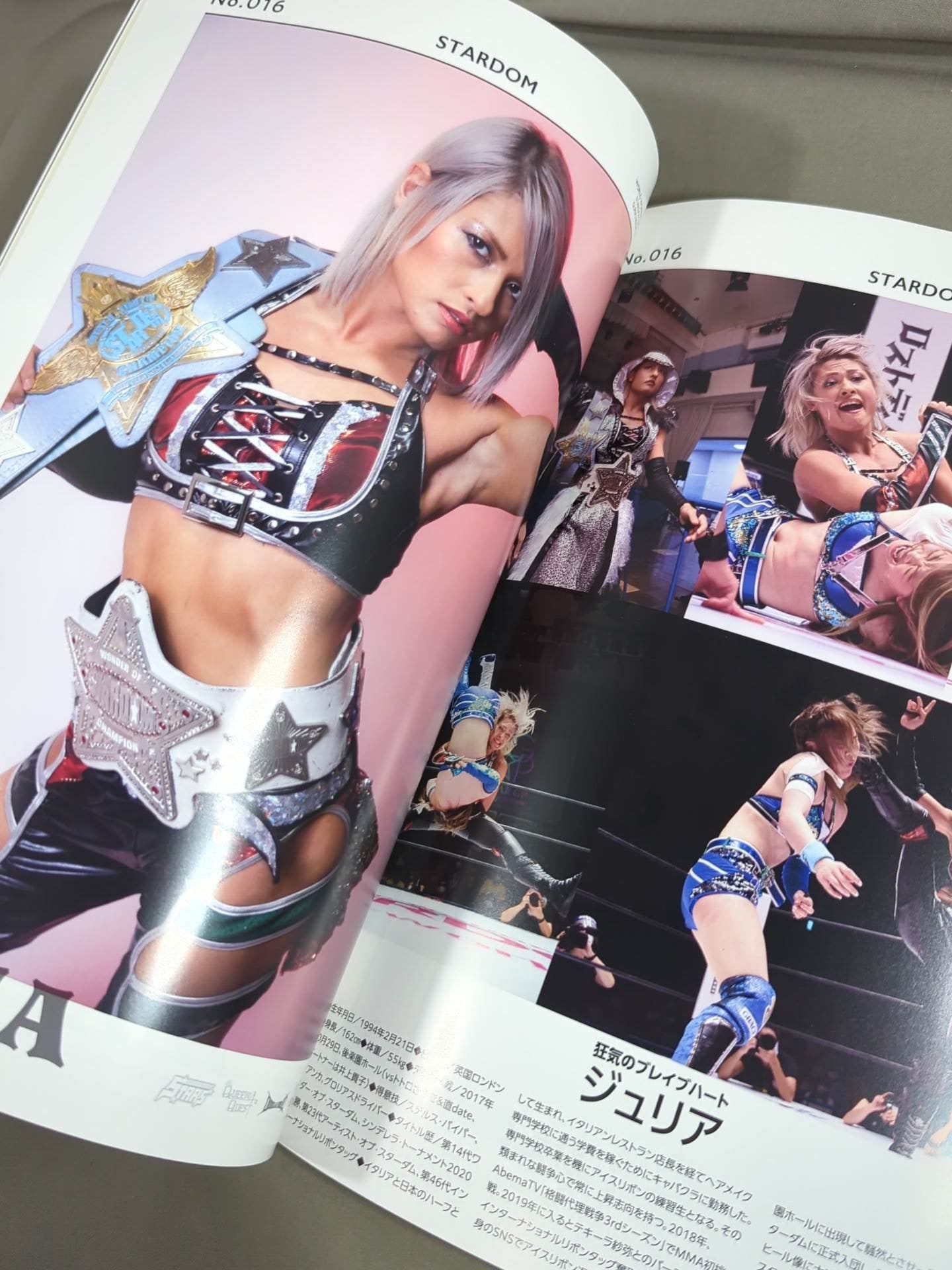 STARDOM OFFICIAL GUIDE BOOK Vol.132 – 闘道館