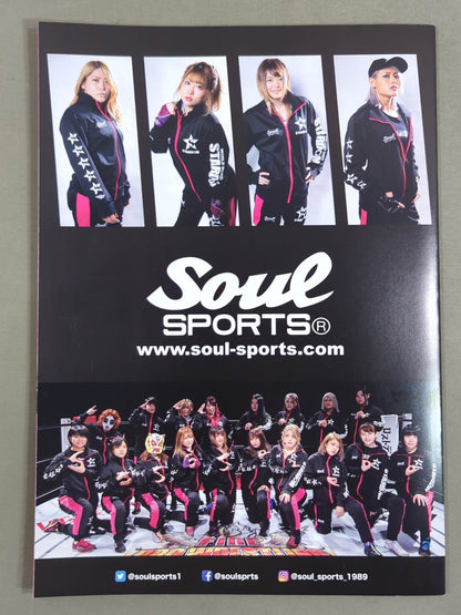 STARDOM OFFICIAL GUIDE BOOK Vol.132