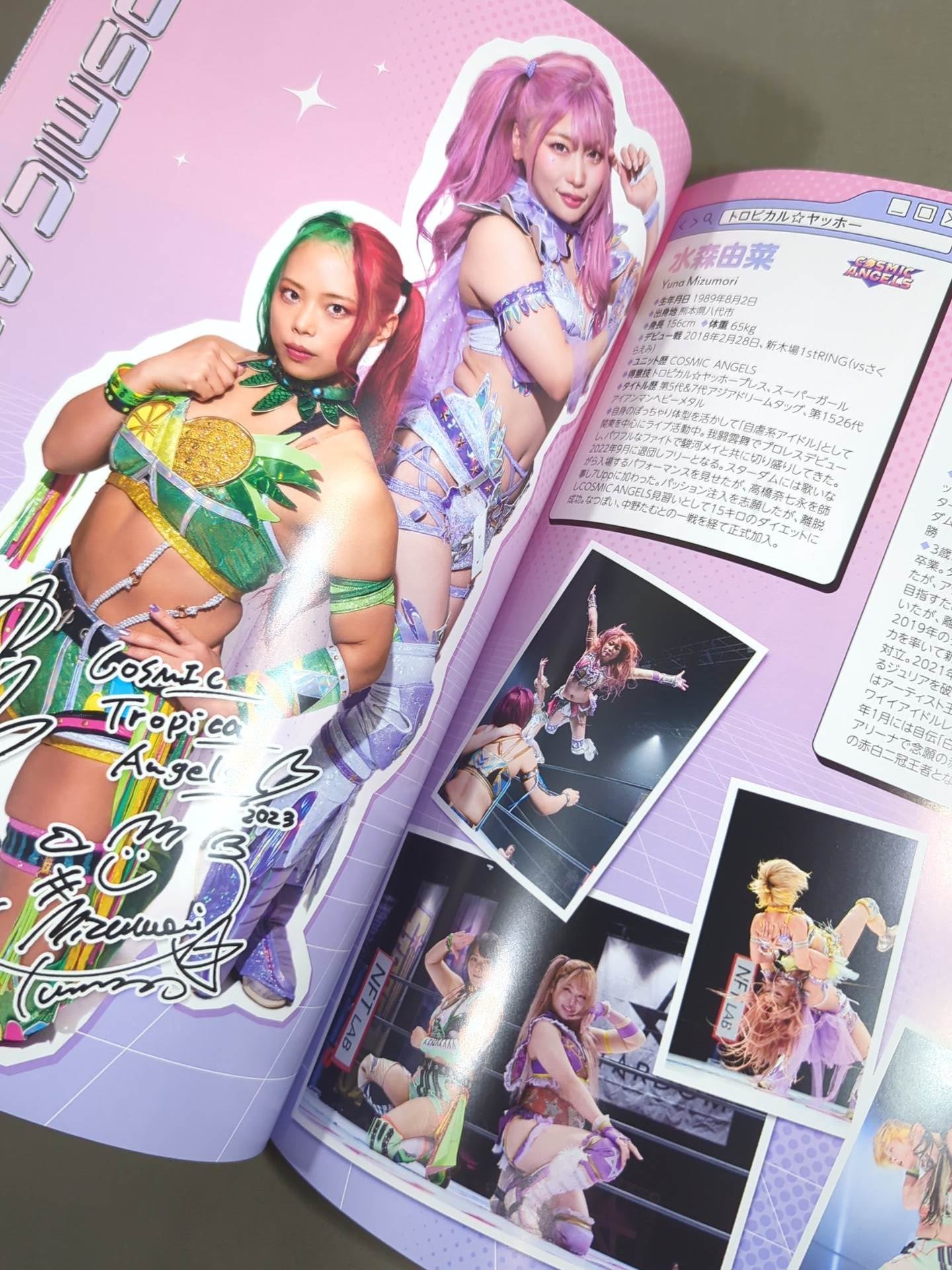STARDOM OFFICIAL GUIDE BOOK Vol.149