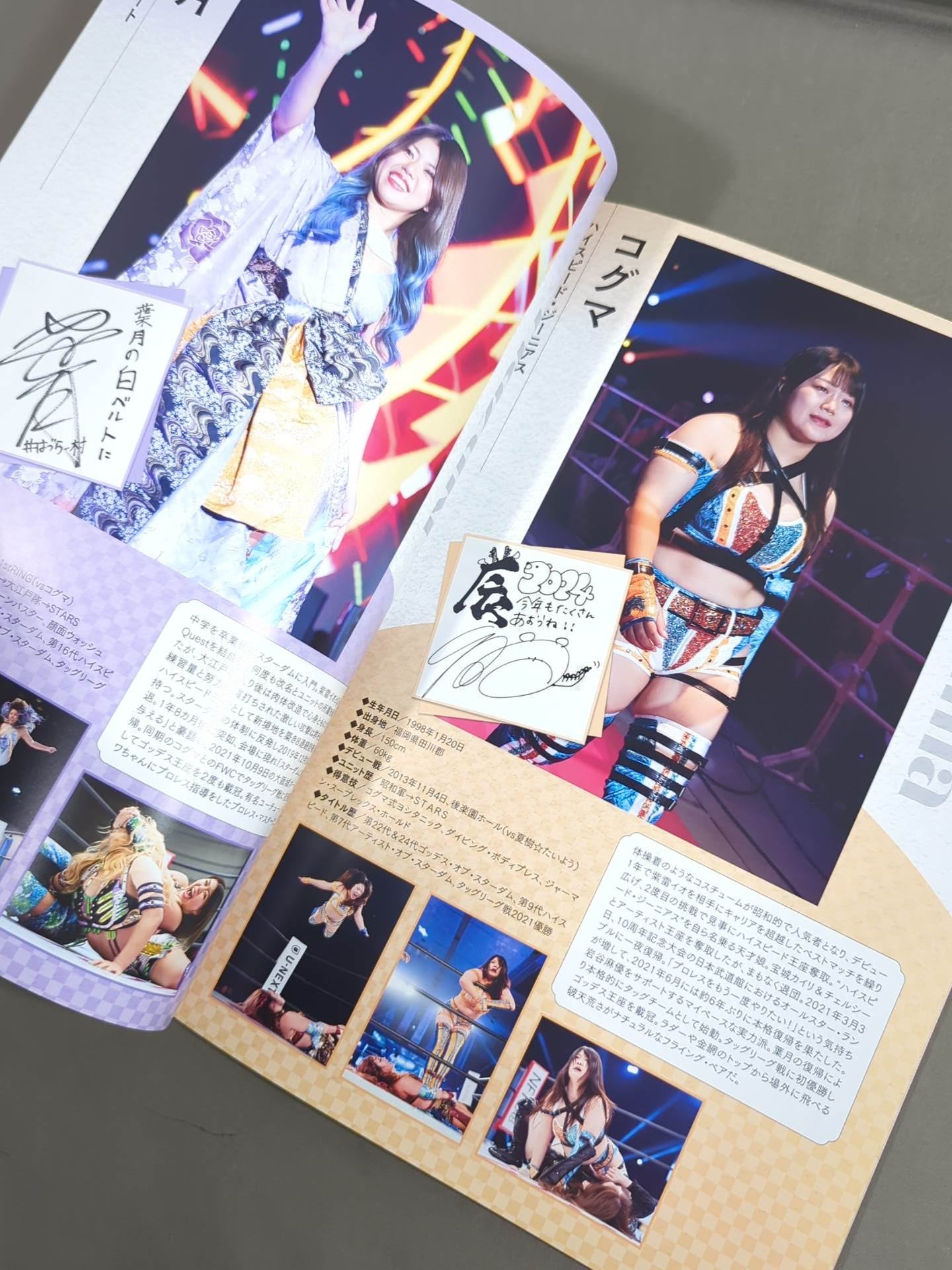 STARDOM OFFICIAL GUIDE BOOK Vol.150