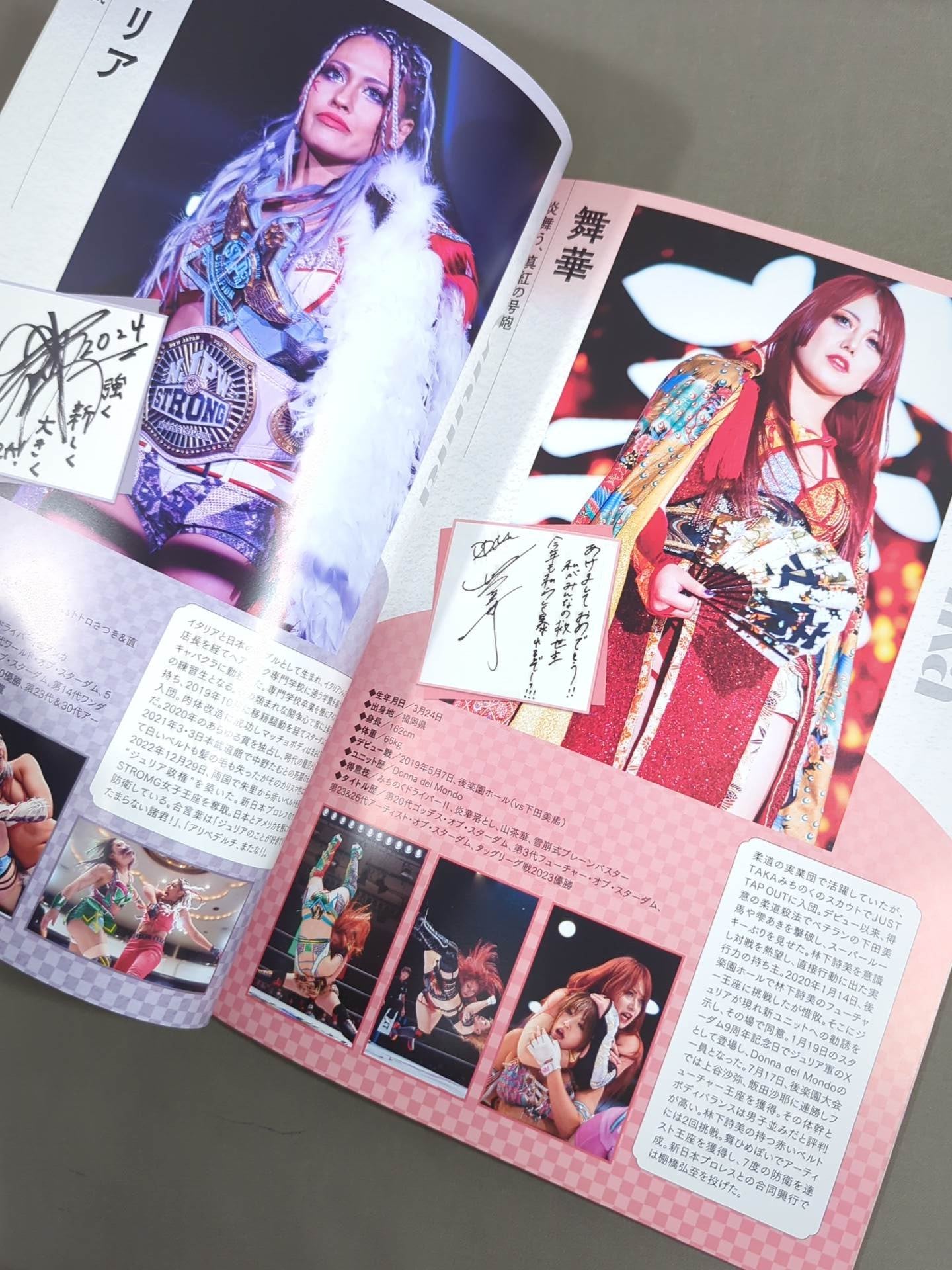 STARDOM OFFICIAL GUIDE BOOK Vol.150