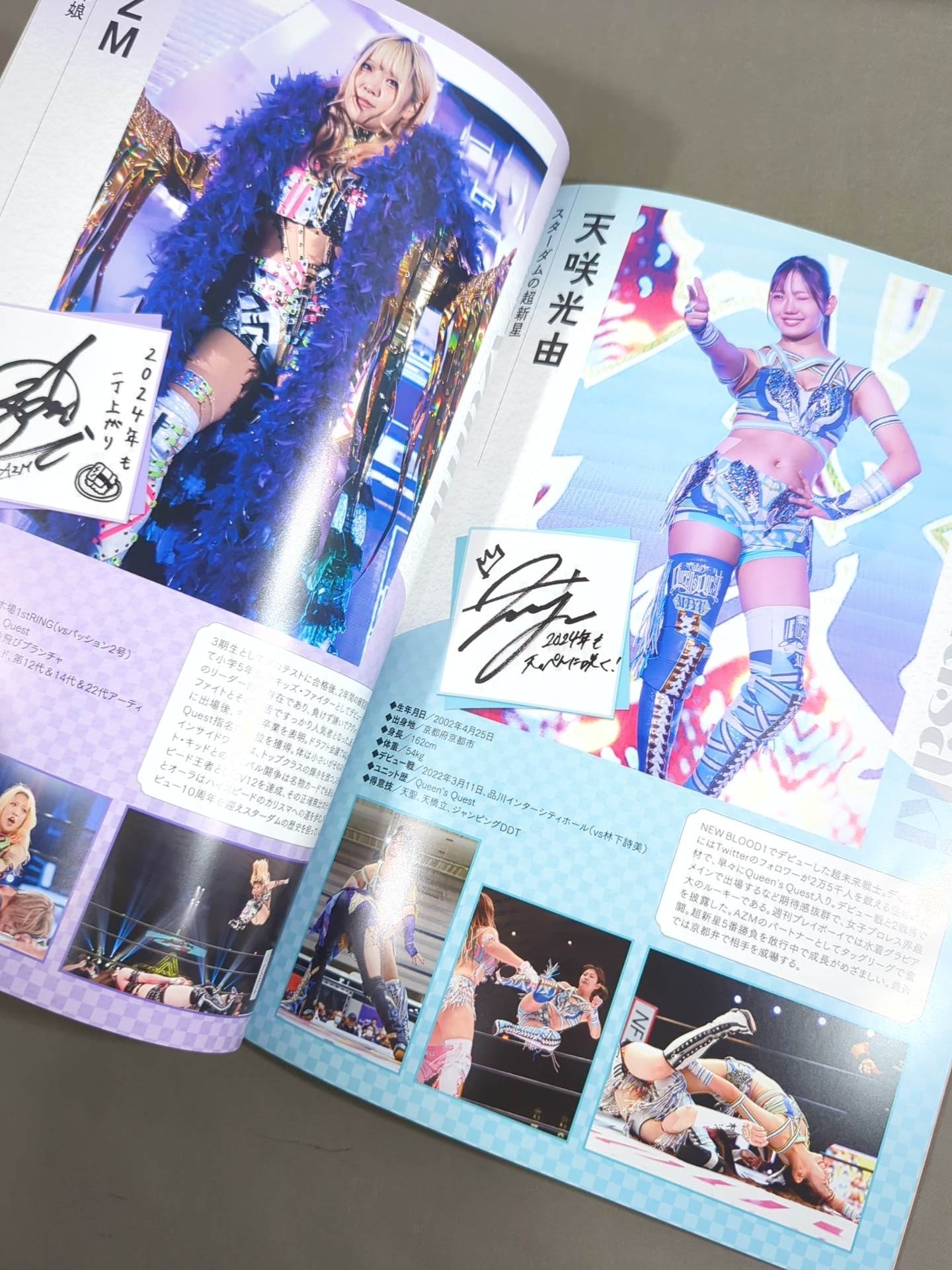 STARDOM OFFICIAL GUIDE BOOK Vol.150