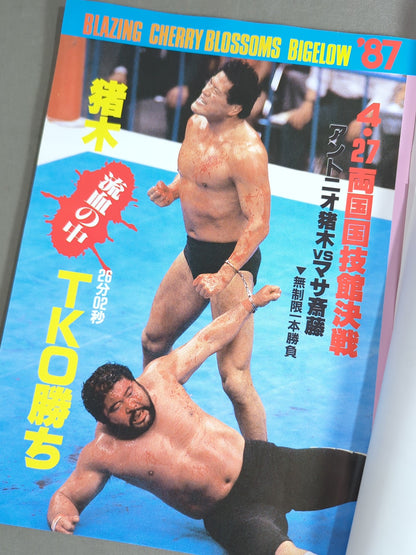 Fighting Spirit Special 33