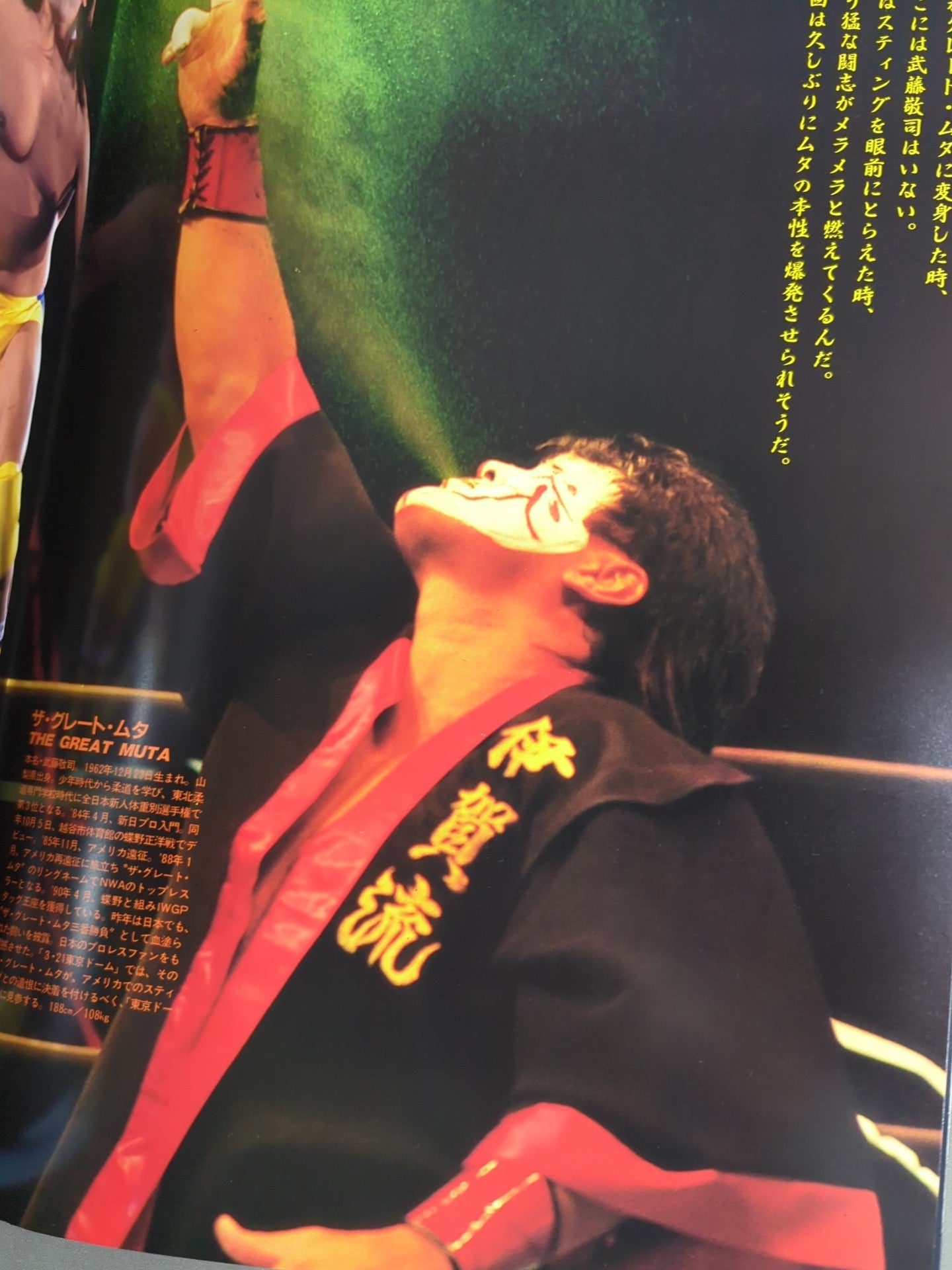 ★藤波vsフレアー NWA戦★ 91スターケードin闘強導夢