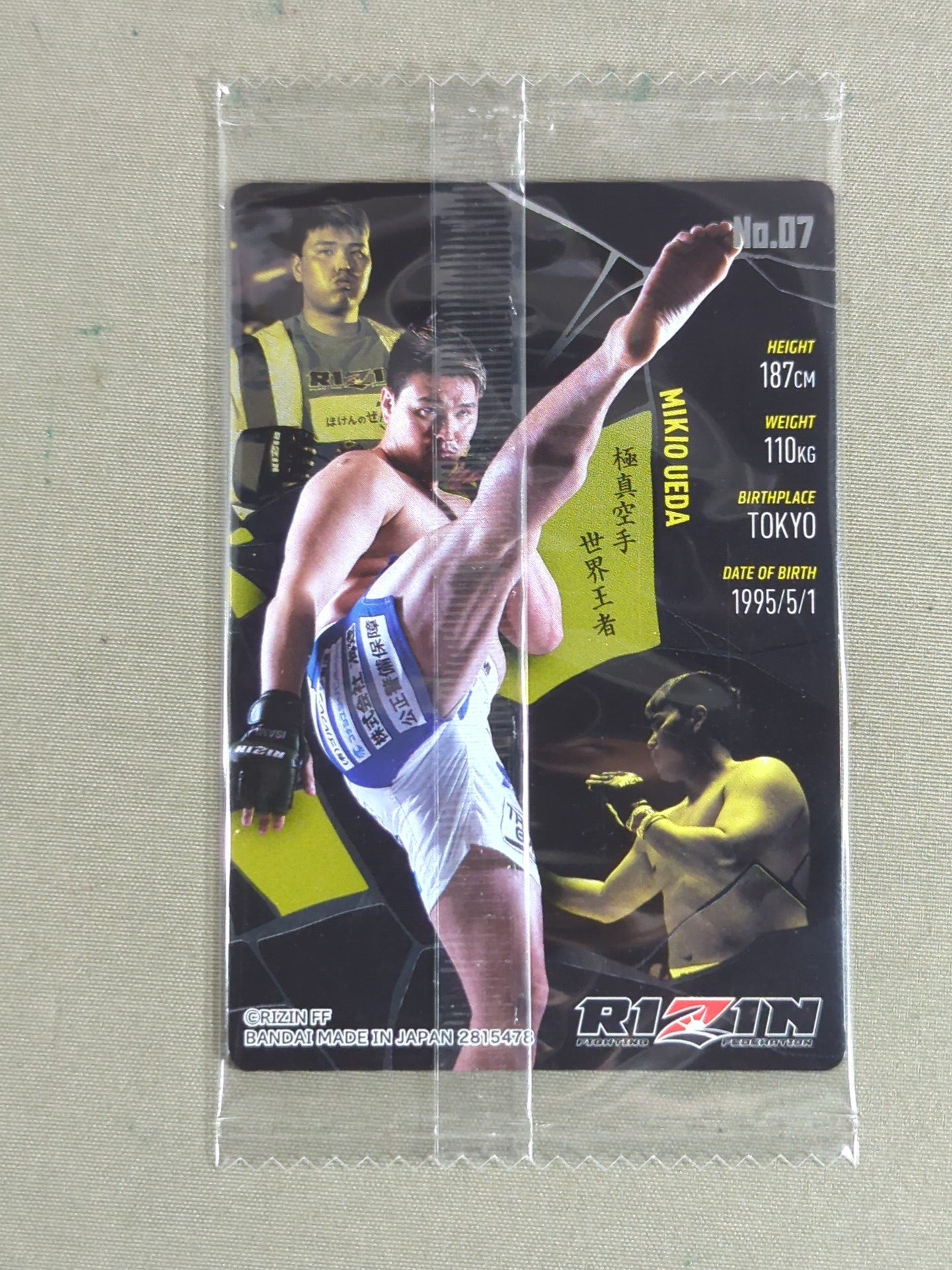 RIZIN ウエハースカード 2025 上田幹雄 – 闘道館