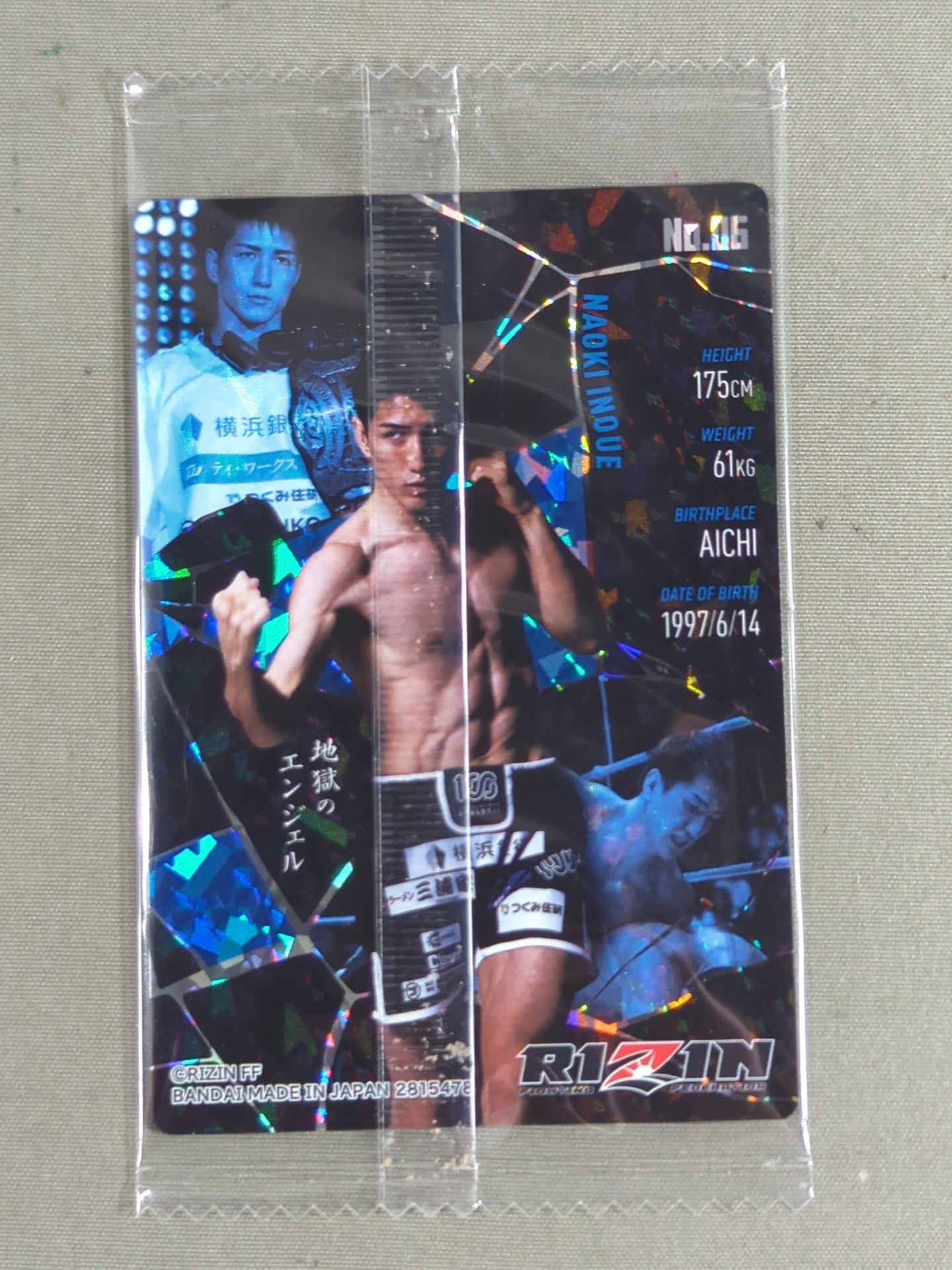 RIZIN 井上直樹サイン入りぬいぐるみグローブ おまけRIZINカード付き！ HATTRICK（ハットトリック）-挑戦者の想いをファンへ届ける公式