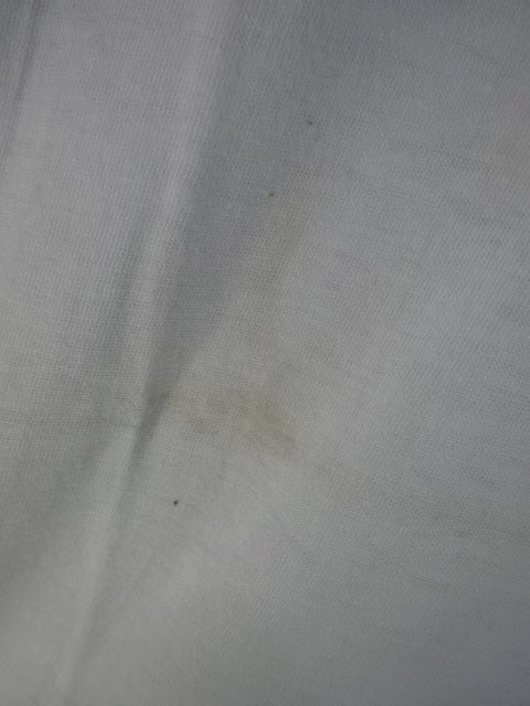 IWGP T-Shirt (Original )