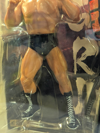 ★ The Battle ★ of Iwaru Island Antonio Inoki vs Masa Saito 