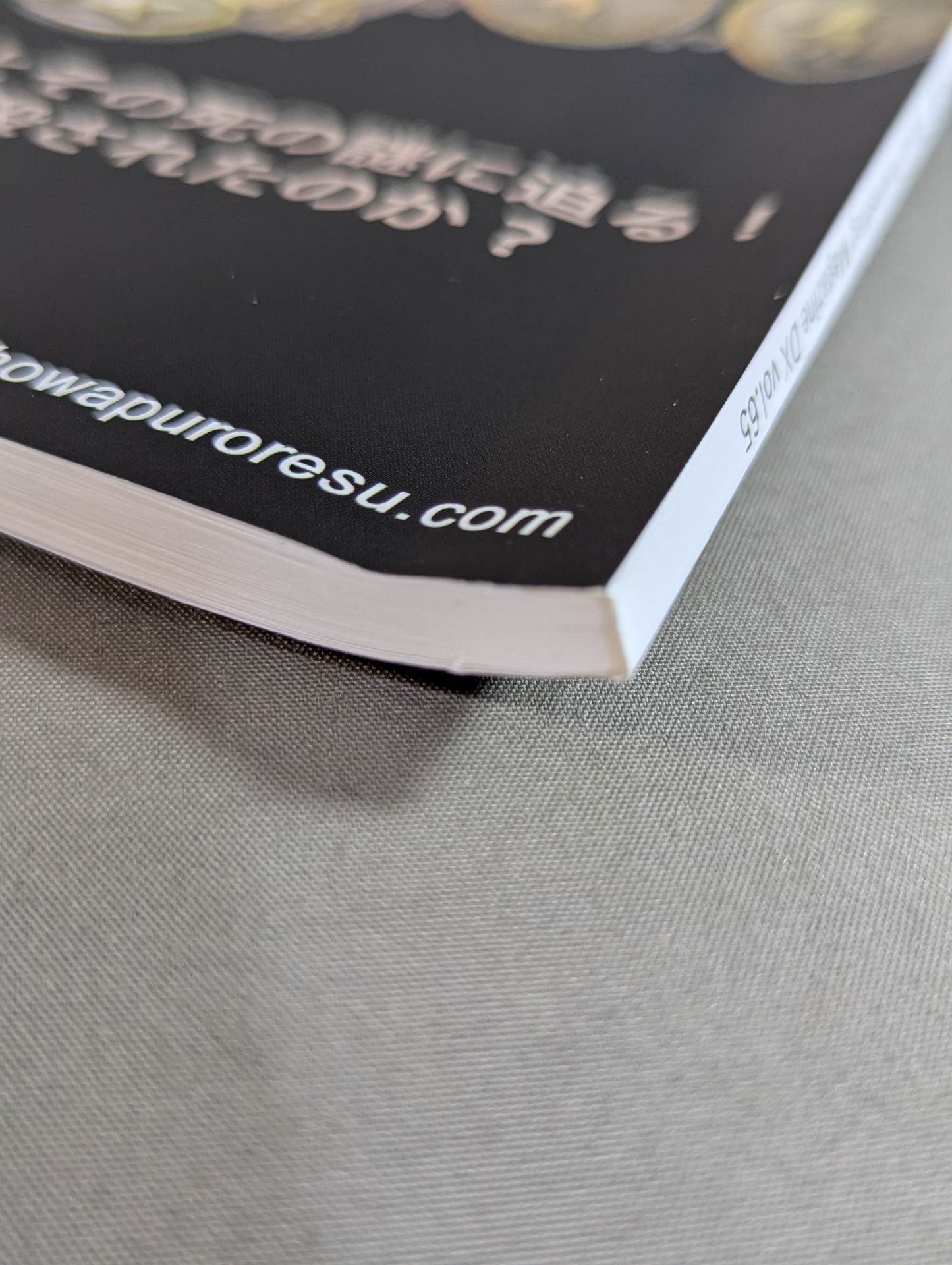 Dr. Mick's Showa Pro Wrestling Magazine Deluxe No. ★ 65 International fighters rights Rikidozan edition ★