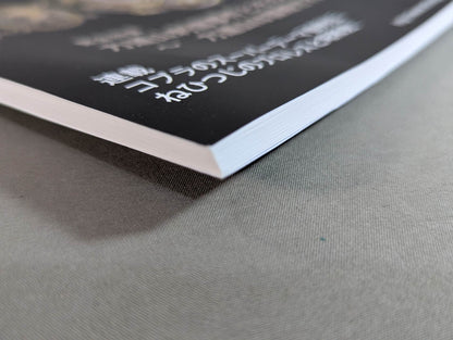 Dr. Mick's Showa Pro Wrestling Magazine Deluxe No. ★ 65 International fighters rights Rikidozan edition ★