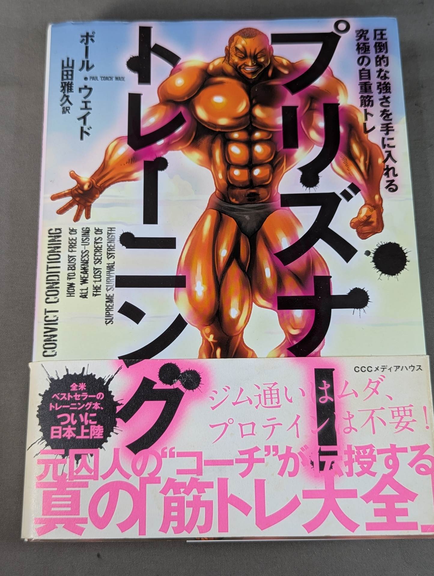 The ultimate bodyweight training for overwhelming strength Prisoner Training