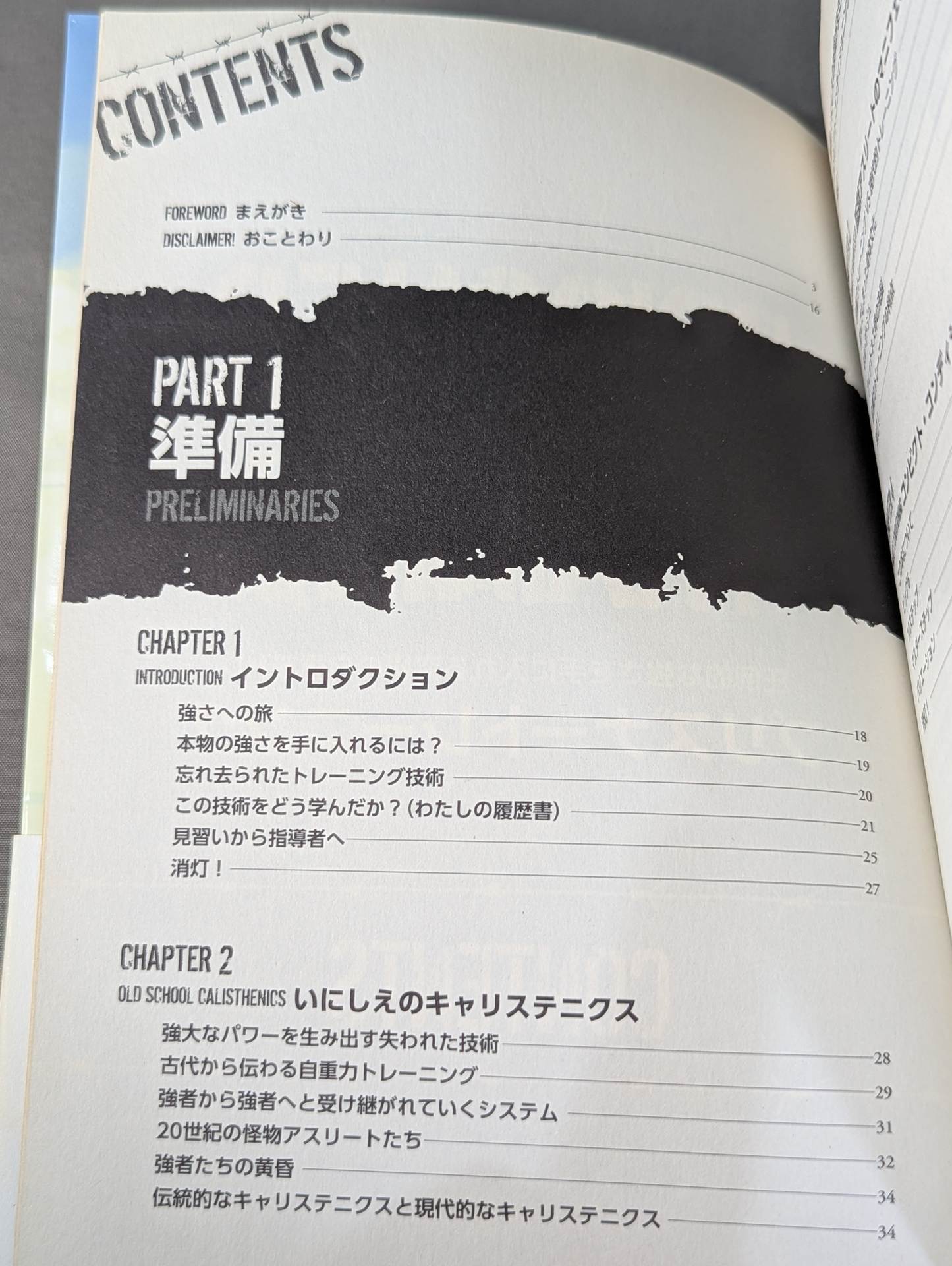 The ultimate bodyweight training for overwhelming strength Prisoner Training