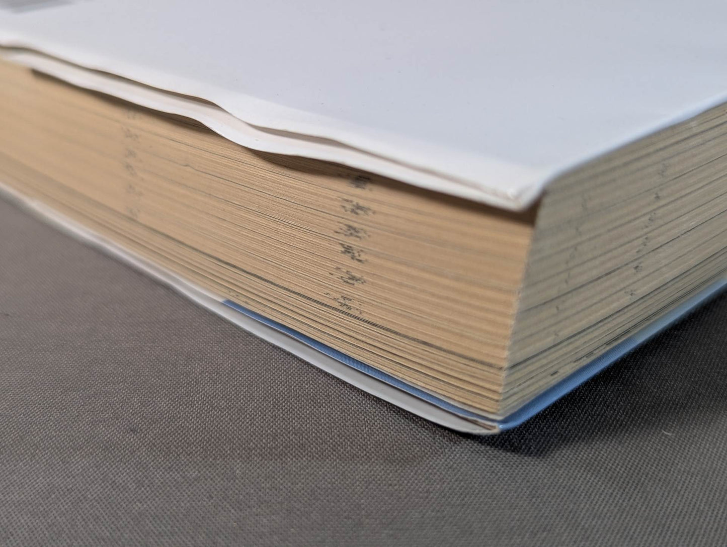 The ultimate bodyweight training for overwhelming strength Prisoner Training