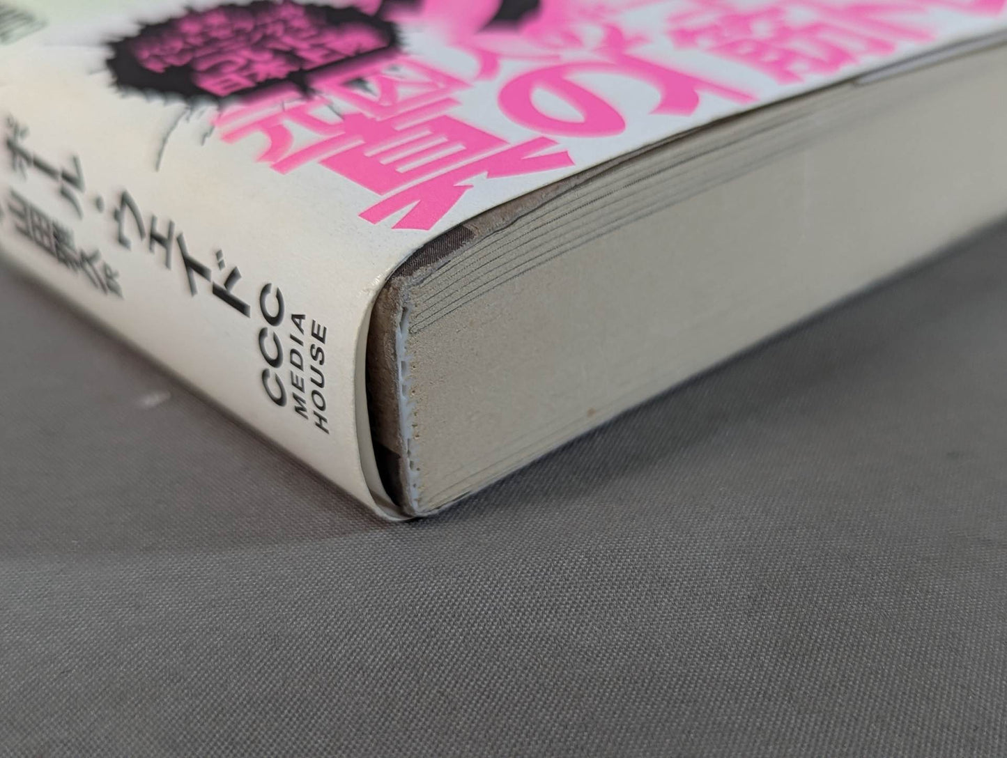 The ultimate bodyweight training for overwhelming strength Prisoner Training