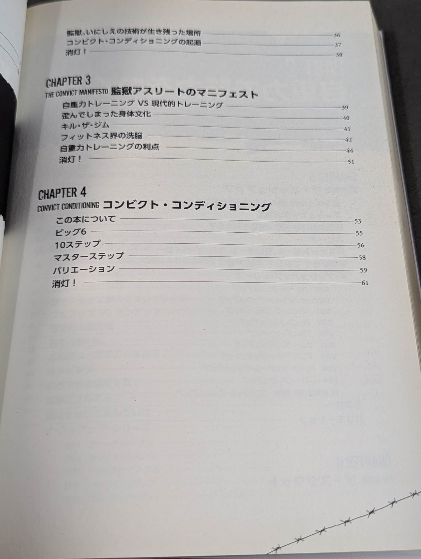 The ultimate bodyweight training for overwhelming strength Prisoner Training