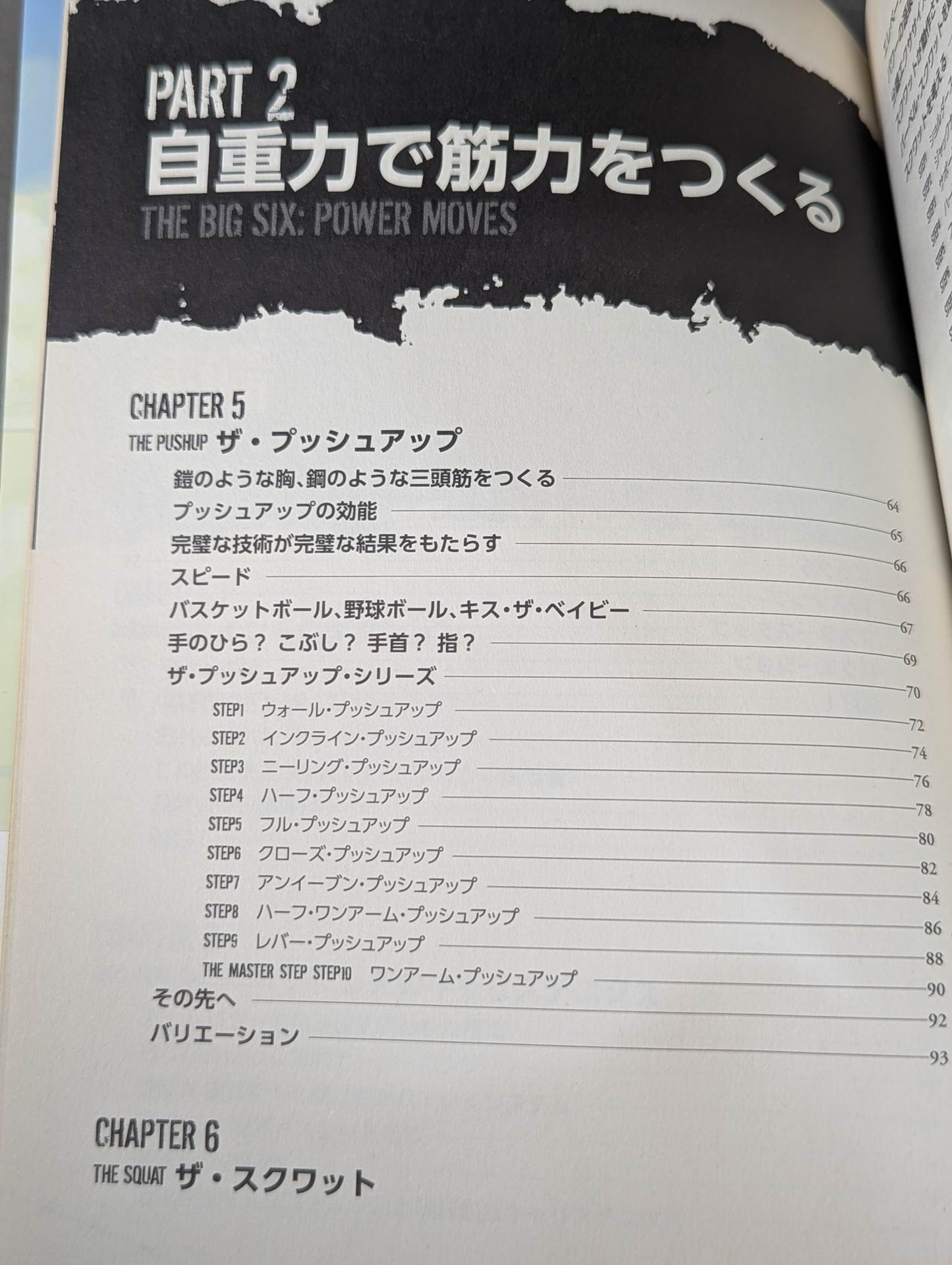 The ultimate bodyweight training for overwhelming strength Prisoner Training