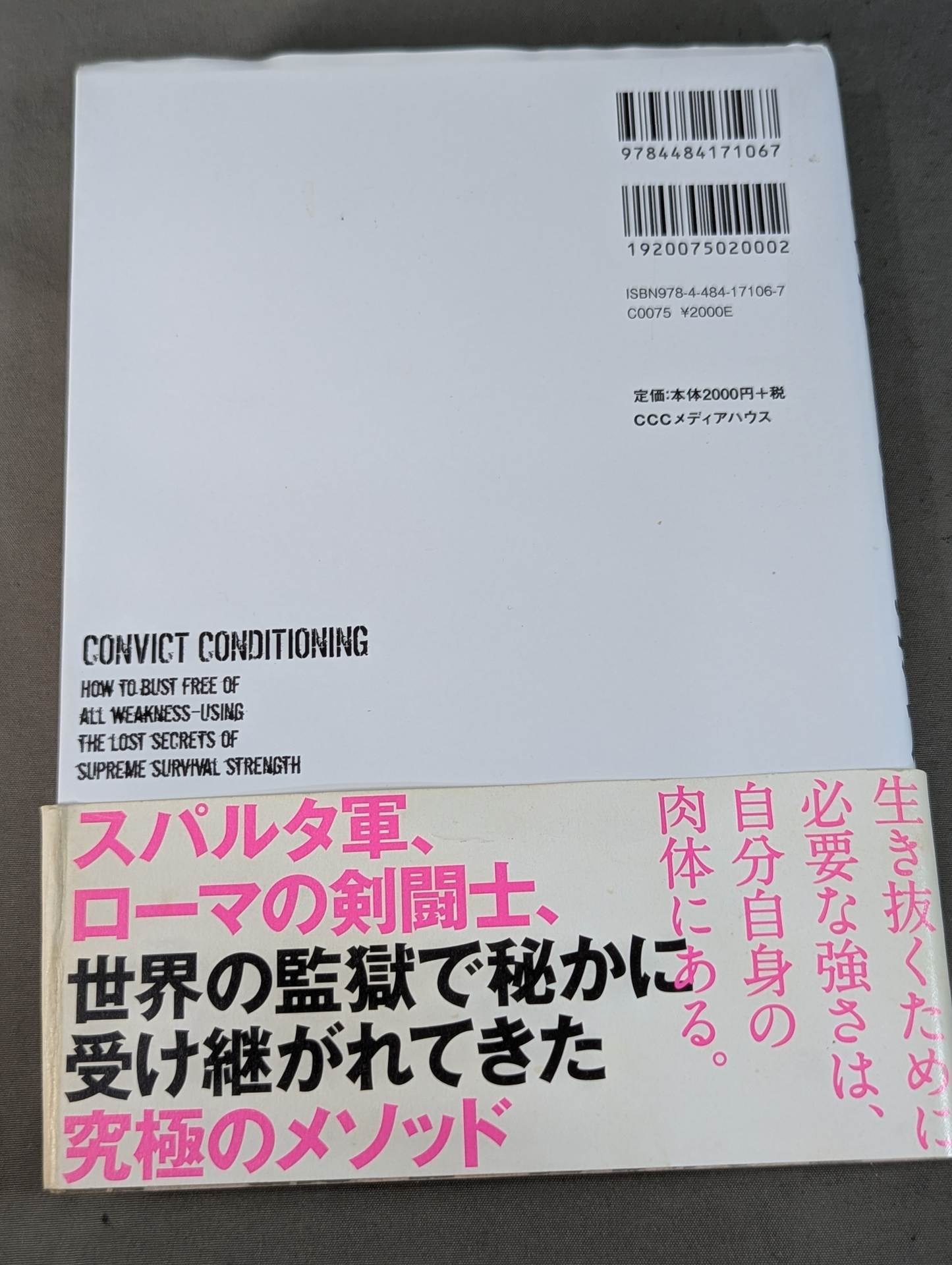 The ultimate bodyweight training for overwhelming strength Prisoner Training