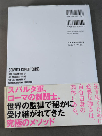 The ultimate bodyweight training for overwhelming strength Prisoner Training