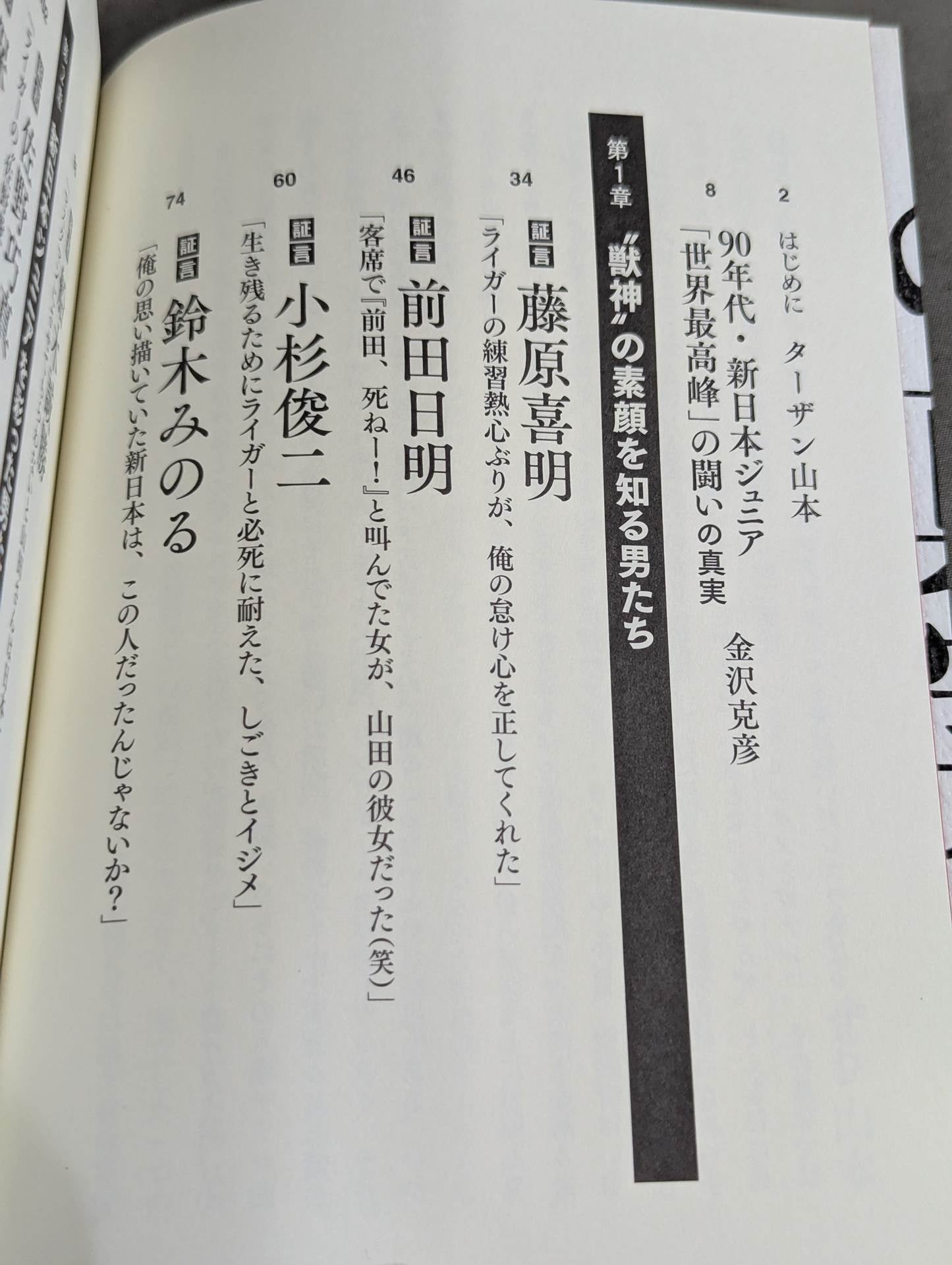 Testimony New Japan Pro Wrestling  "The Truth About Junior's Golden Age"