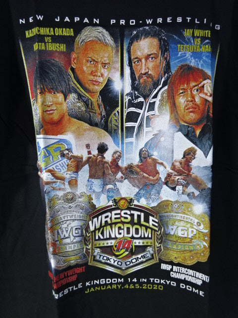 WK14 IWGP/IC Double Fighters Championship Match Picture T-Shirt